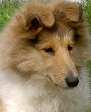 "Oona" oona